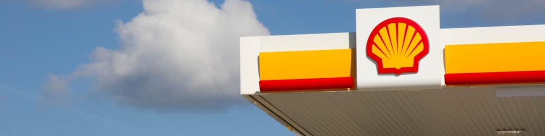 Shell pecten on retail site