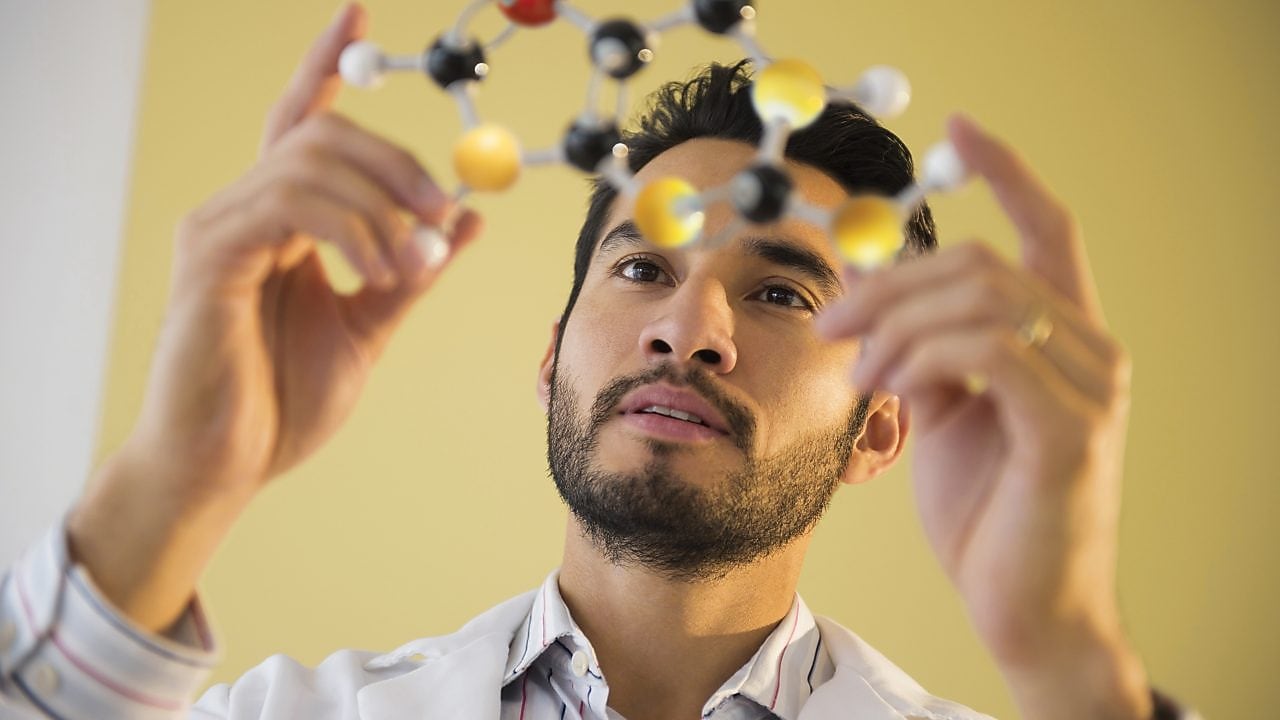 Job search for professionals