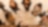Aerial view of group of employees talking