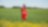 An employee stands in a field near a Quest C02 injection well northeast of Edmonton, Alberta in Canada