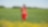 An employee stands in a field near a Quest C02 injection well northeast of Edmonton, Alberta in Canada